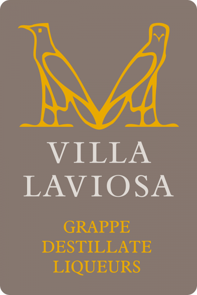 villa-laviosa-logo